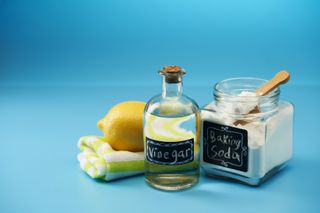 Vinegar in a bottle, a lemon and soda in a jar.