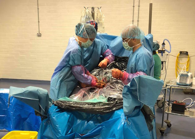 Surgery1