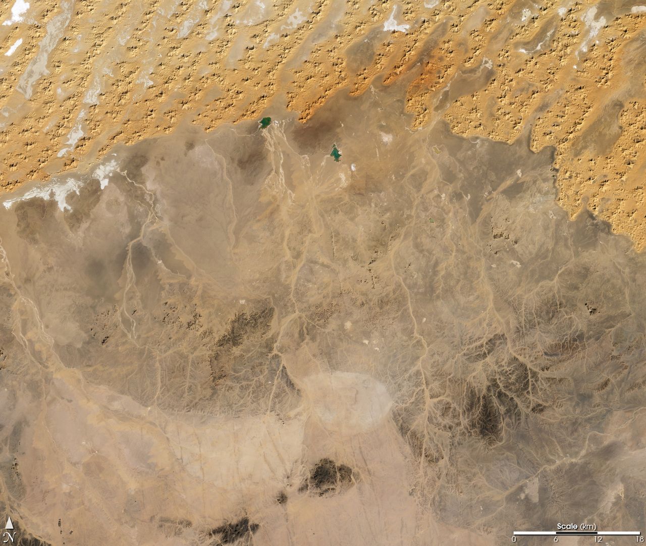 These dried-up river channels in Algeria, which is mostly covered by the Sahara Desert, are known as wadis.