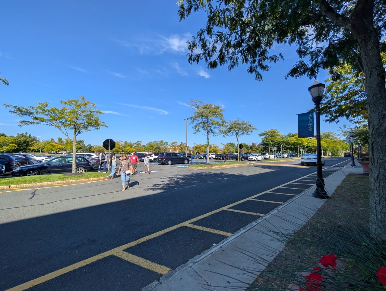 Google Pixel 9 Pro XL ultrawide sample.