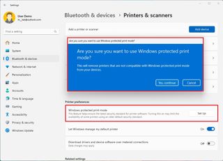 Windows protected print mode