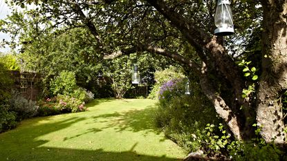 rick steps up to the lawn with raised flower beds in the foreground and a hedge and Wendy House in the far corner. The garden of a semi detached period house in Islington, North London, home of Adam and Irenie Cossey and three children.