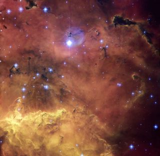 A colourful star-forming region is featured in this stunning new NASA/ESA Hubble Space Telescope image of NGC 2467. Huge clouds of gas and dust are sprinkled with bright blue, hot young stars. Strangely shaped dust clouds, resembling spilled liquids, are