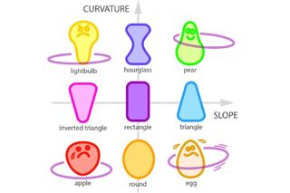 A diagram showing the different curvature and slopes of body types for hula hooping