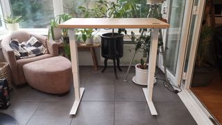 Friska Stockholm Micro Standing Desk