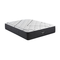 Beautyrest Black mattress: from $2,249 + two free pillows at Beautyrest
Save $318