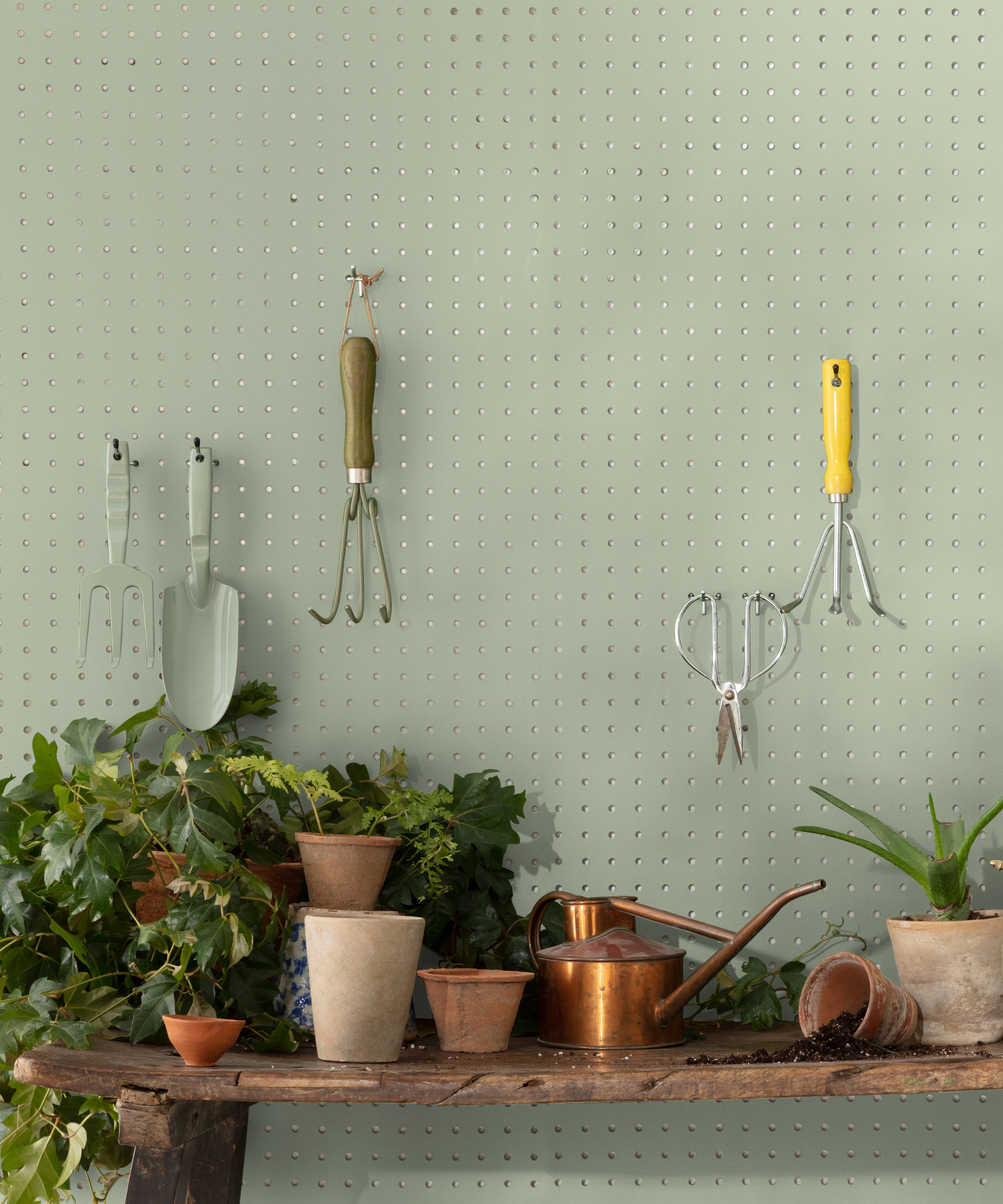 A light sage green wall with gardening tools hanging from pegs and potted plants sitting on a wooden shelf below
