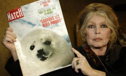Brigitte Bardot has been outspoken about a range of animal rights issues, including seal hunting in Canada and dolphin killing in the Faroe Islands.