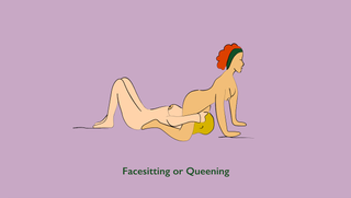 illustration of the facesitting position, otherwise known as queening