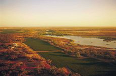 Riverland wine region