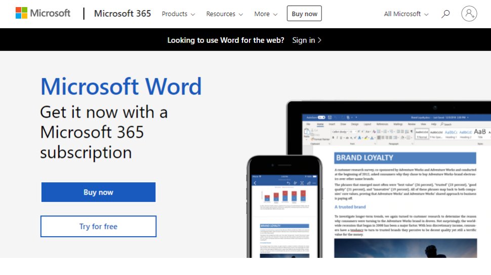 Website screenshot for Microsoft Word