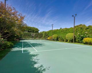 green tennis court surrounded by green shrubs and trees