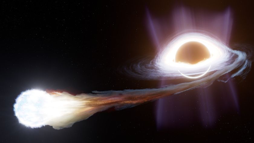 An artist’s impression of a tidal disruption event, where a star gets too close to a black hole and is torn apart, its debris forming an accreting disk of material around the black hole.