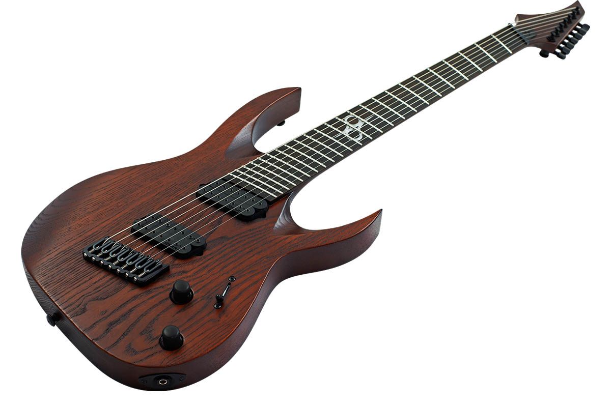 Solar Guitars makes its multiscale debut with two super-shreddable