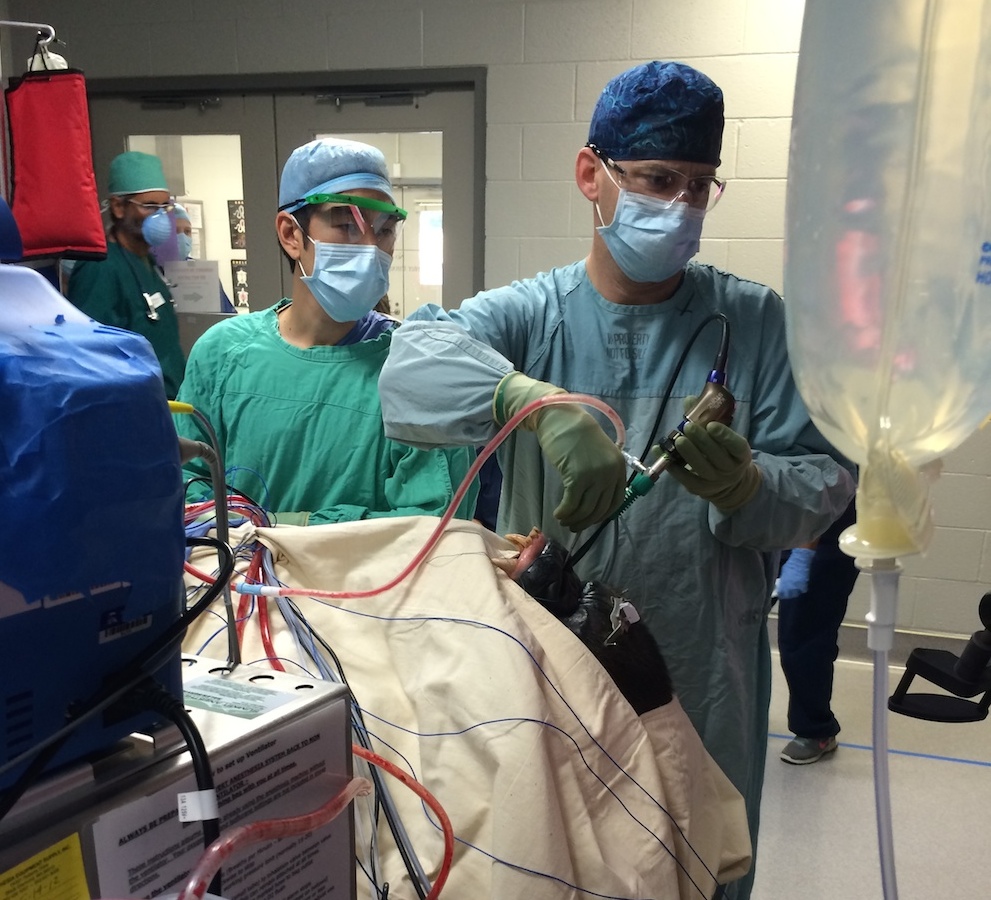 Gorilla sinus surgery