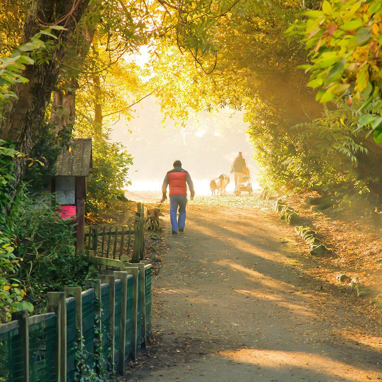 Happiest places to live UK revealed is your hometown on the list