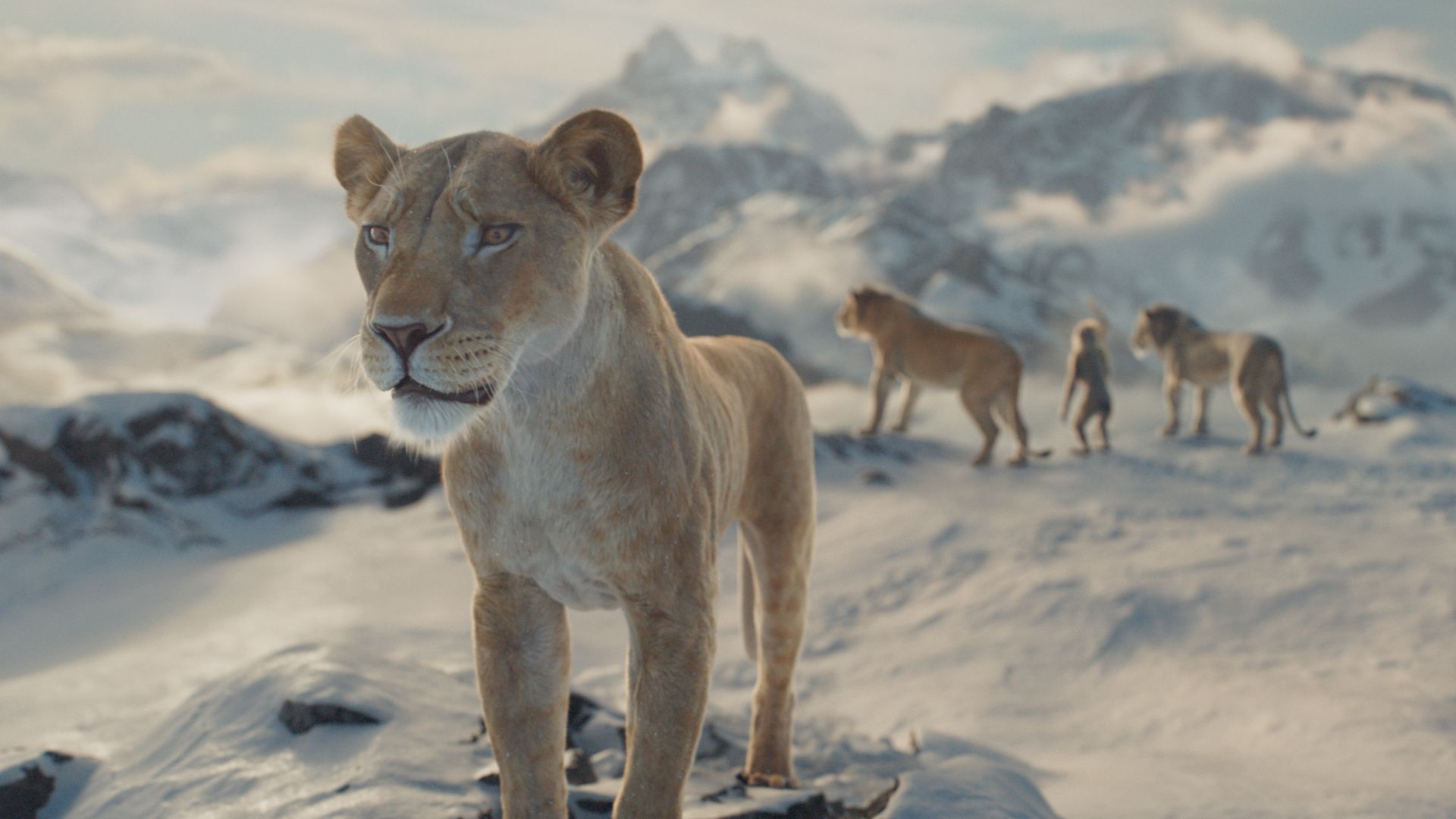When Is Mufasa On Disney Plus Here s The Lion King Prequel s Streaming 