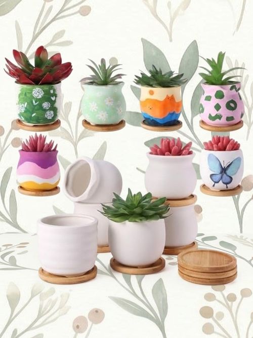 Paint Your Own Mini Succulent Pots
