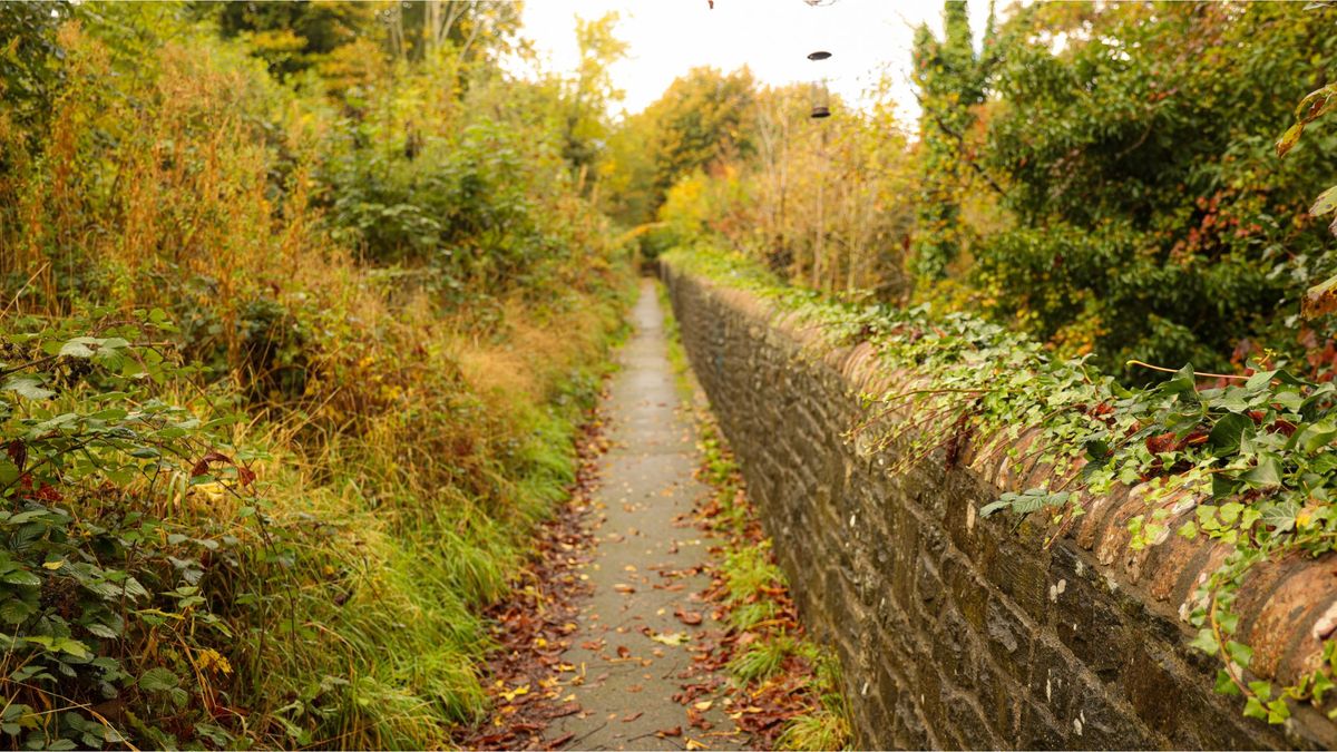 Example image of a small wall and a path