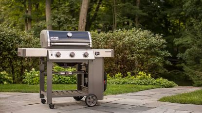 The 11 best gas grills, according to experts