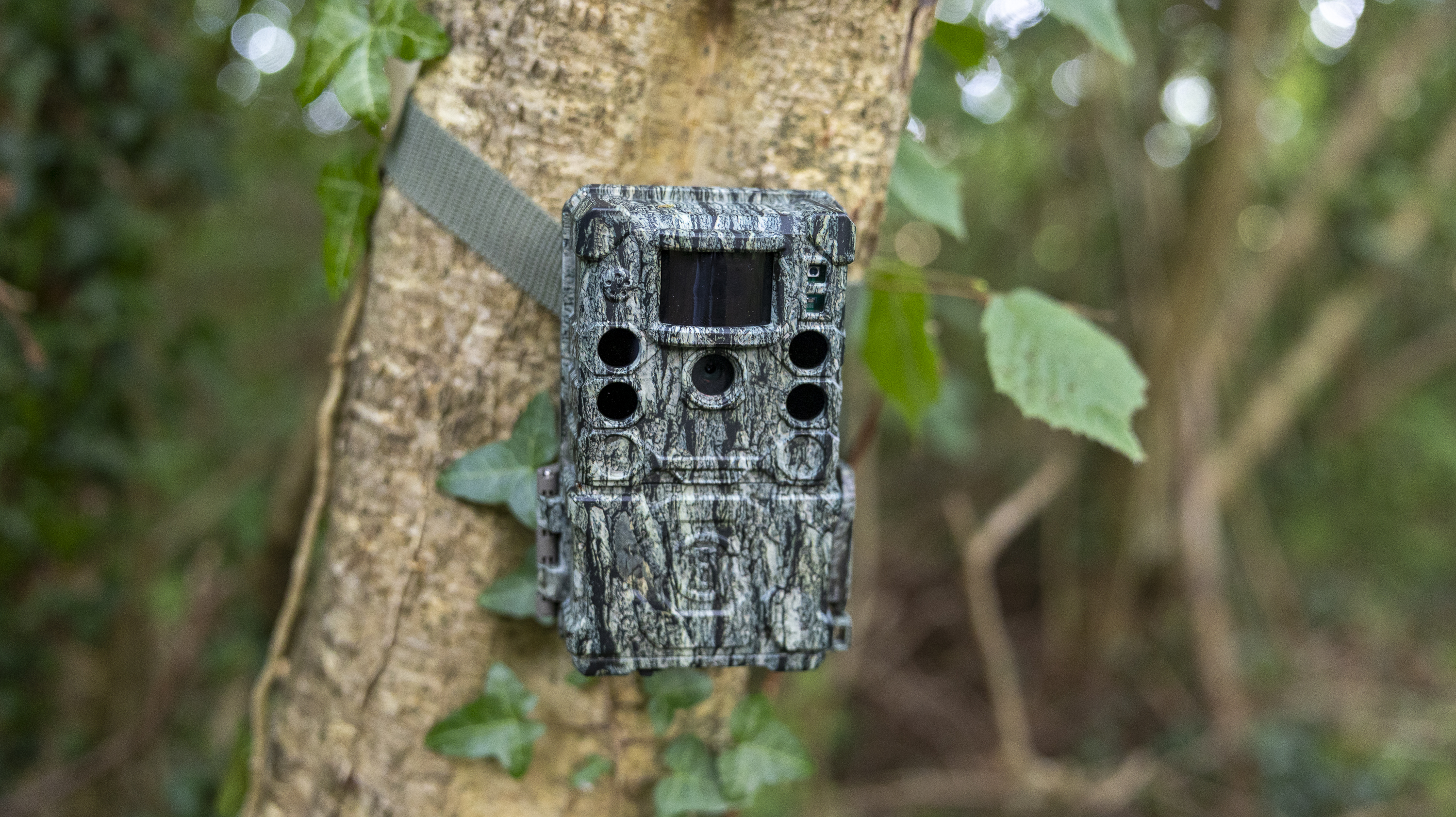 The Bushnell Core S-4K No Glow trail camera mounted on a woodland tree