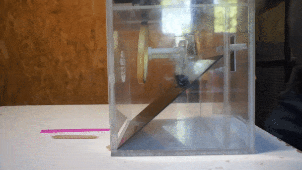 Cockatoo using multiple tools to fish out a nut from the box.