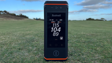 Bushnell Wingman HD