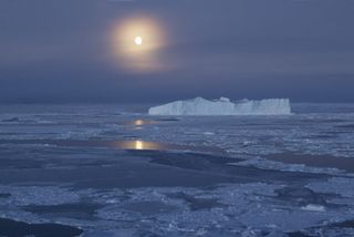 antarctica iceberg in the light