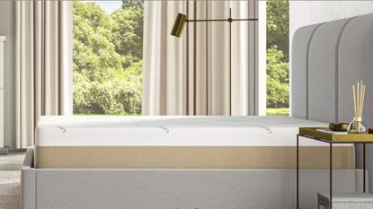 Side view of the Saatva Contour5 Mattress against windows with a garden view.