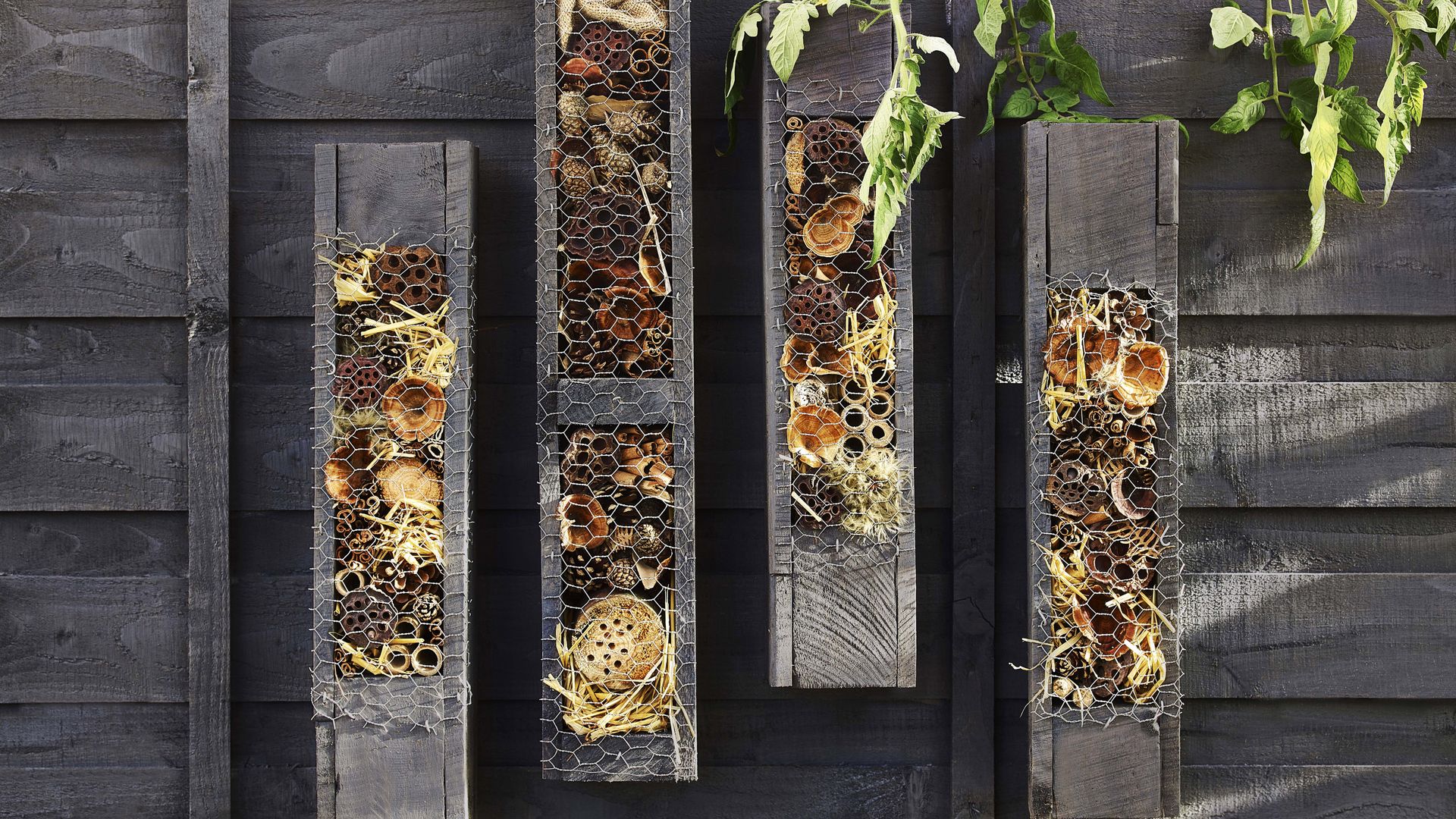 How to make a bug hotel it's easy to achieve in four easy steps Gardeningetc