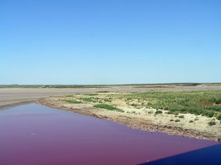 OC Fisher Reservoir in Texas turned red in the drought.