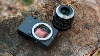 Sigma FP2 camera body and detached 50mm f/2 lens arranged on a cut tree stump.