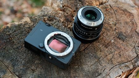 Sigma FP2 camera body and detached 50mm f/2 lens arranged on a cut tree stump.