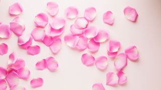 Pink, Petal, Heart, Confectionery,