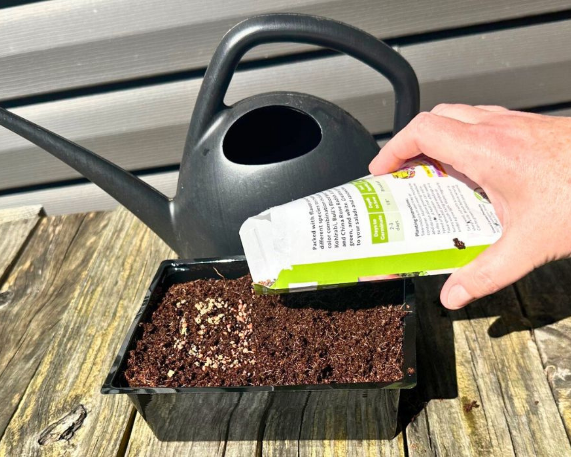 Adding seeds to the dollar tree mini greenhouse