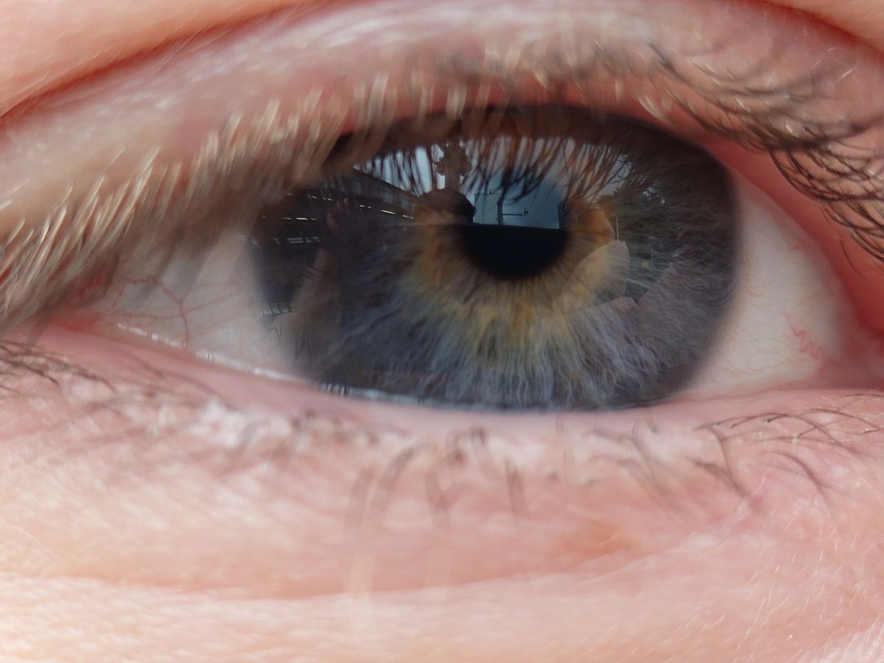 A telemacro photo of an eye captured on the Sony Xperia 1 VI