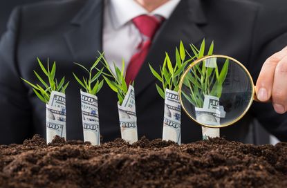 Close-up Of Businessman Holding Magnifying Glass In Front Of Money Plants