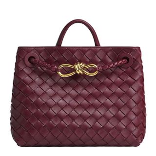 Bottega Veneta Small Andiamo