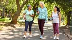 Three women walk down a tree-lined path holding yoga mats under their arms and smiling.