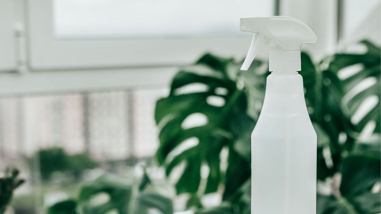 A white spray bottle with large monetera plants in the background out of focus in a white room