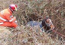 horse-in-ditch.jpg
