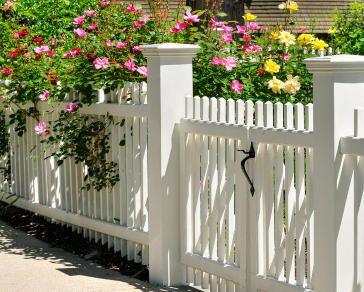 8 cheap fence ideas for beautiful boundaries Real Homes — free download