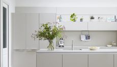 An all white kitchen with lots of small plants