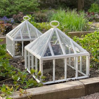 Victorian Style Cast Iron Cloche