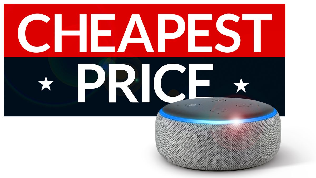 echo dot 18.99