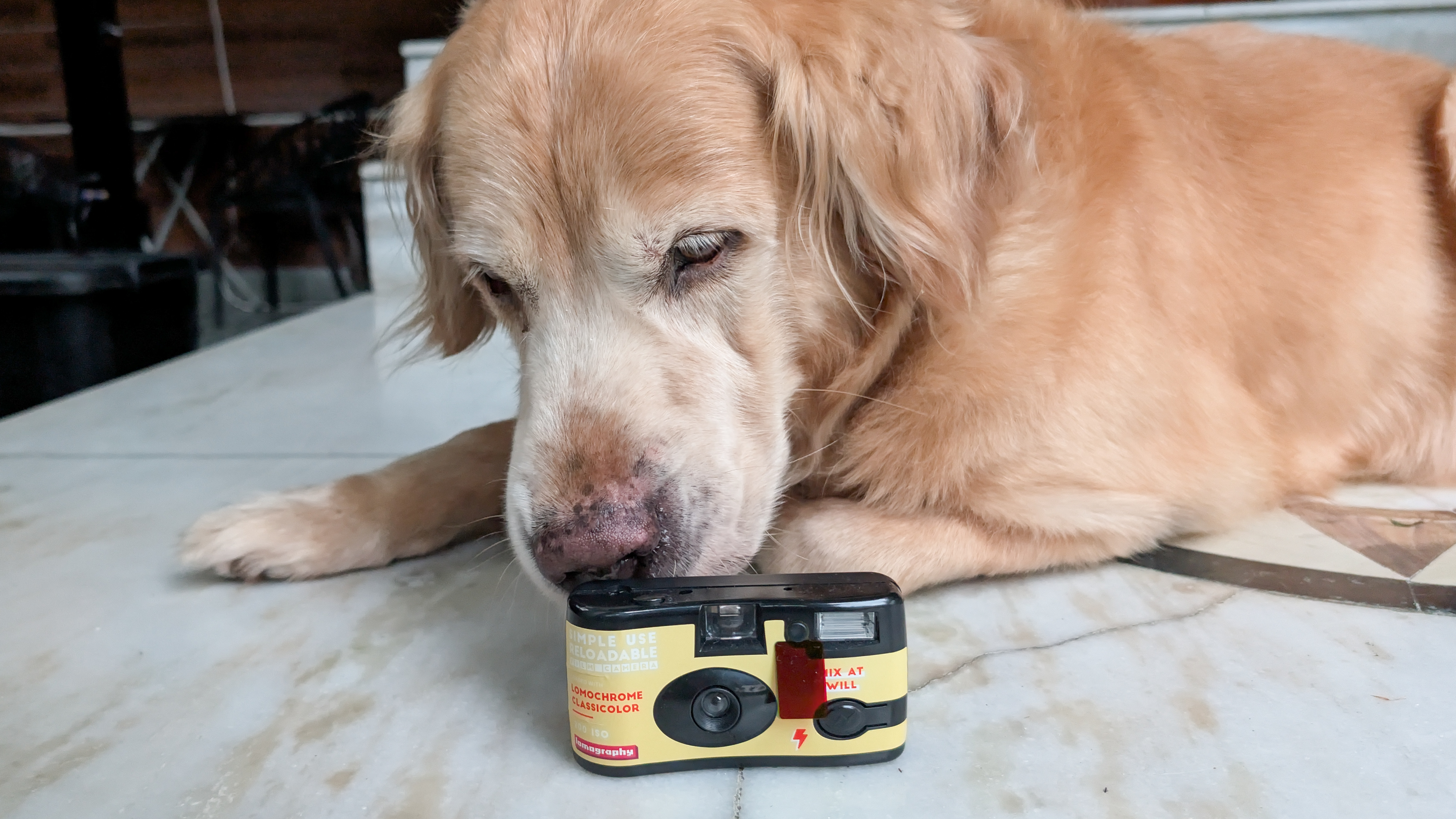 A yellow Lomography Simple Use Reloadable Film Camera Classicolor film camera