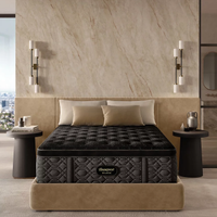 Beautyrest Black Series Three 16.75" Plush Pillowtop Mattress: $3,999