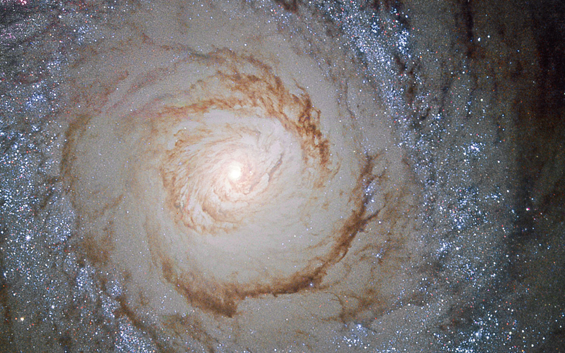 stars Bursting to Life in Messier 94