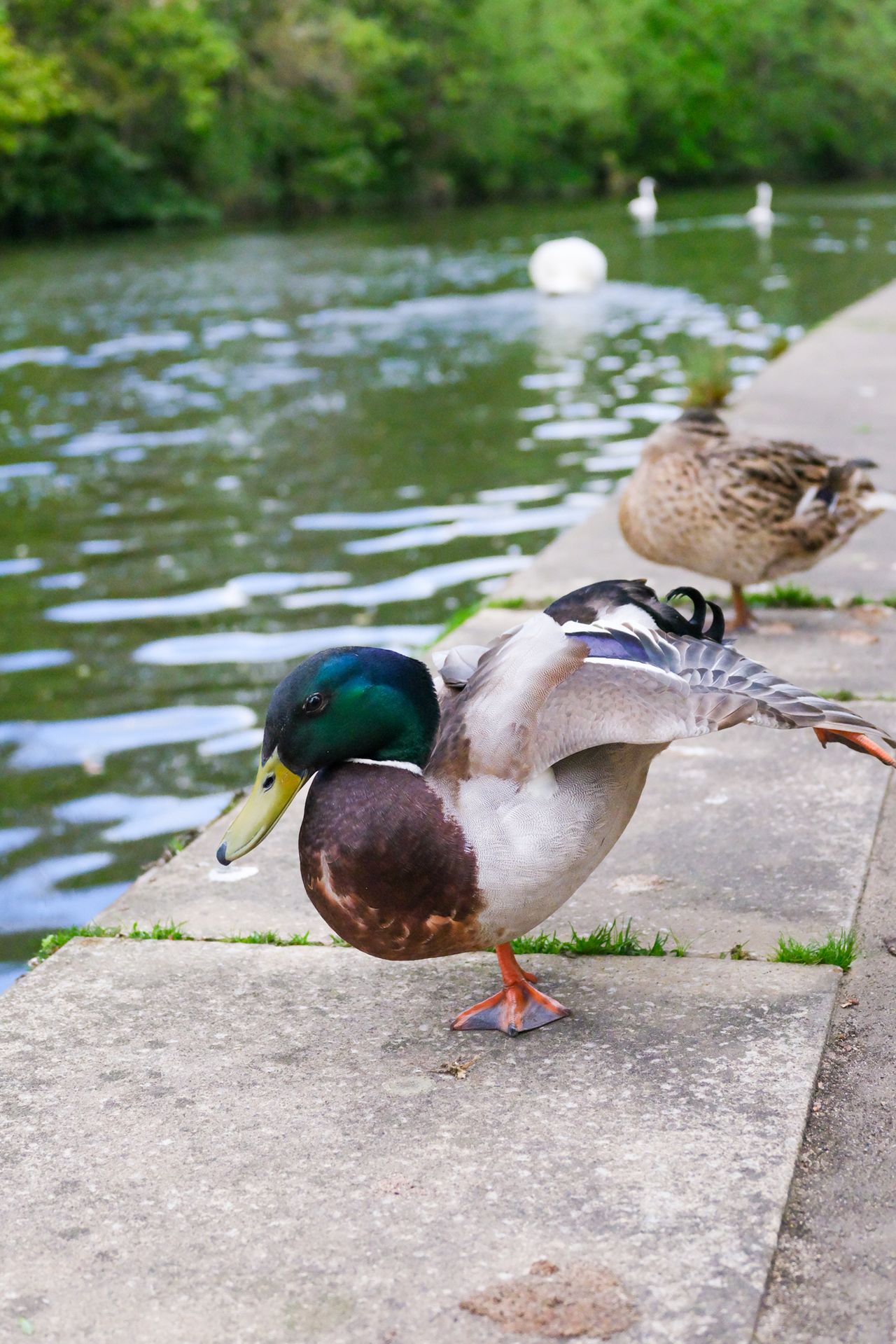 A photo taken on a Fujifilm GFX100RF medium format camera