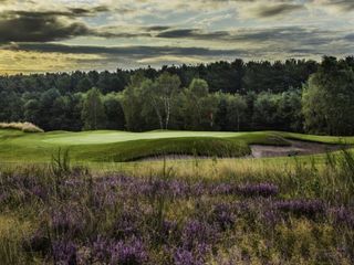 7th green at Sherwood Forest